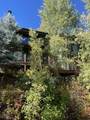 36836 Tree Haus Drive - Photo 25