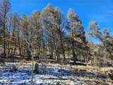 1412 Redhill Road - Photo 31