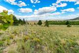 1327 Sheep Ridge Road - Photo 10