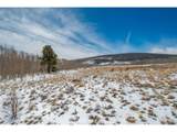 1327 Sheep Ridge Road - Photo 13