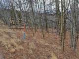503 Sugar Loaf Lane - Photo 11