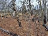 503 Sugar Loaf Lane - Photo 2