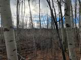 503 Sugar Loaf Lane - Photo 8