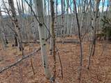 503 Sugar Loaf Lane - Photo 9