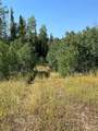 tbd Cutter Trail - Photo 5
