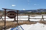 20905 Clydesdale Way - Photo 2