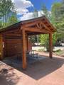 85 Revett Drive #325 - Photo 15