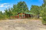 318 Foxtail Lane - Photo 11