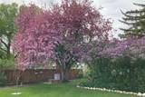 399 Jefferson Avenue - Photo 43