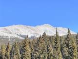 3362 Boreas Pass Road - Photo 13