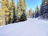 3362 Boreas Pass Road - Photo 15