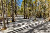 TBD County Road 19 - Photo 14