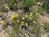 TBD Routt County Road 46 - Photo 19