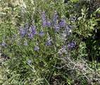TBD Routt County Road 46 - Photo 20