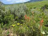 TBD Routt County Road 46 - Photo 4