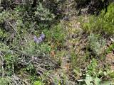TBD Routt County Road 46 - Photo 7