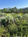 31175 Broken Talon Trail - Photo 5
