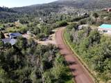 31175 Broken Talon Trail - Photo 8