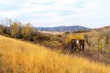 33525 Meadow Creek Drive - Photo 9