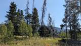 000 Halter Trail - Photo 1