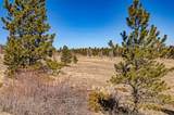 2226 Pitchfork Road - Photo 8
