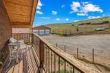 46045 Rock Springs Lane - Photo 41