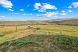 46045 Rock Springs Lane - Photo 46