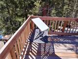 226 Pine Cone Way - Photo 6