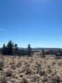 247 Thickspike Road - Photo 11