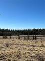 247 Thickspike Road - Photo 12