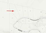 229 County Road 283 - Photo 1