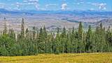 1300 County Road 1450 - Photo 21