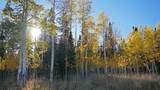 1300 County Road 1450 - Photo 27