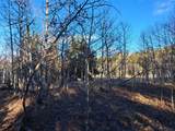 1645 Chippewa Road - Photo 16