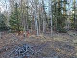 1645 Chippewa Road - Photo 21
