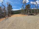2515 High Creek Road - Photo 39