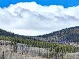 2515 High Creek Road - Photo 44