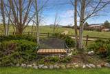 27702 Silver Spur Street - Photo 40