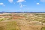 35000 County Road 59 - Photo 12