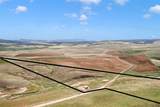 35000 County Road 59 - Photo 17