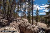 3149 Nugget Road - Photo 12