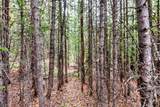 55780 Highway 9 - Photo 35