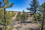 3129 Redhill Road - Photo 6