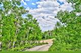 605 Lamb Mountain Road - Photo 31