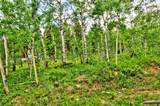 605 Lamb Mountain Road - Photo 36