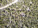 0 Geroges Way - Photo 11