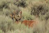 TBD Highway 40 - Photo 10