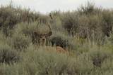 TBD Highway 40 - Photo 11