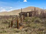 31125 Corral Drive - Photo 40