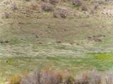 31125 Corral Drive - Photo 41